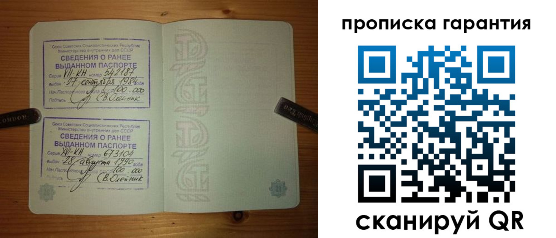 где прописаться в Ельне